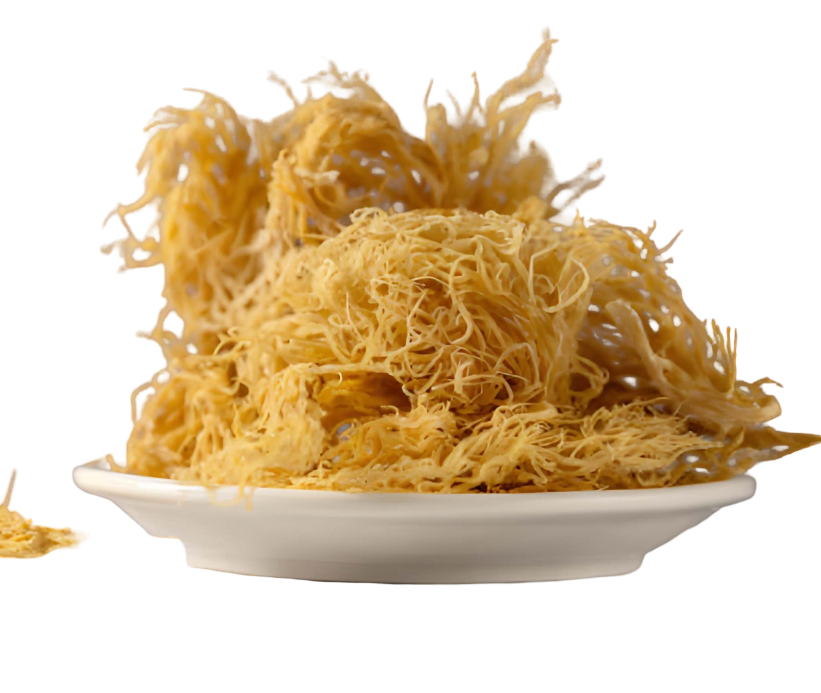 steptodown.com415164 (1)